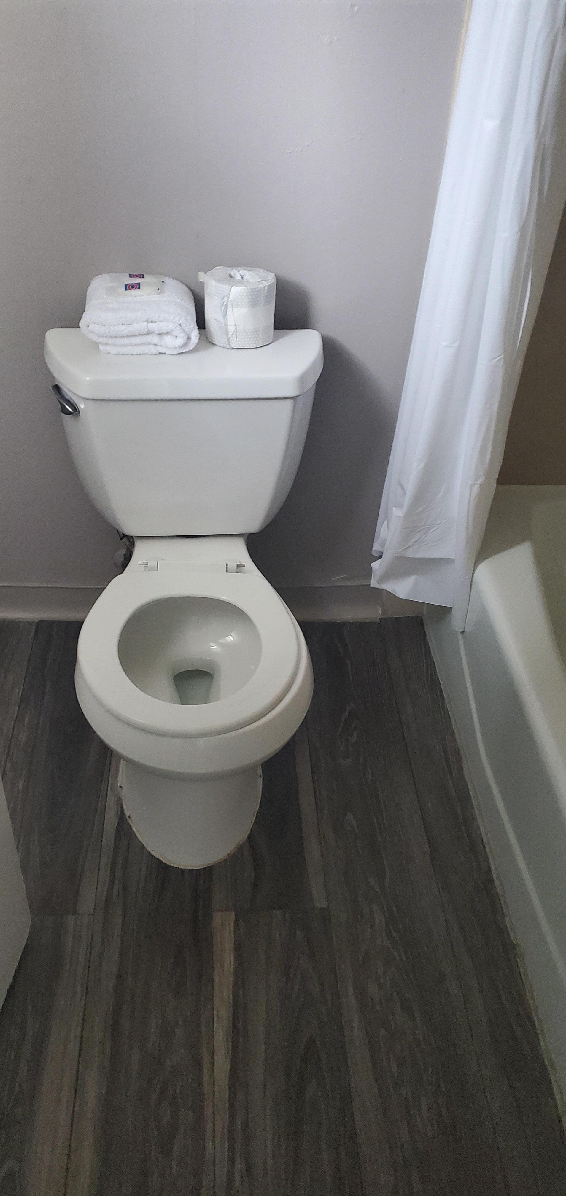 no lid for the toilet