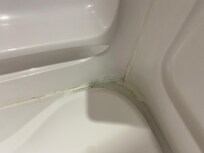 The tub
