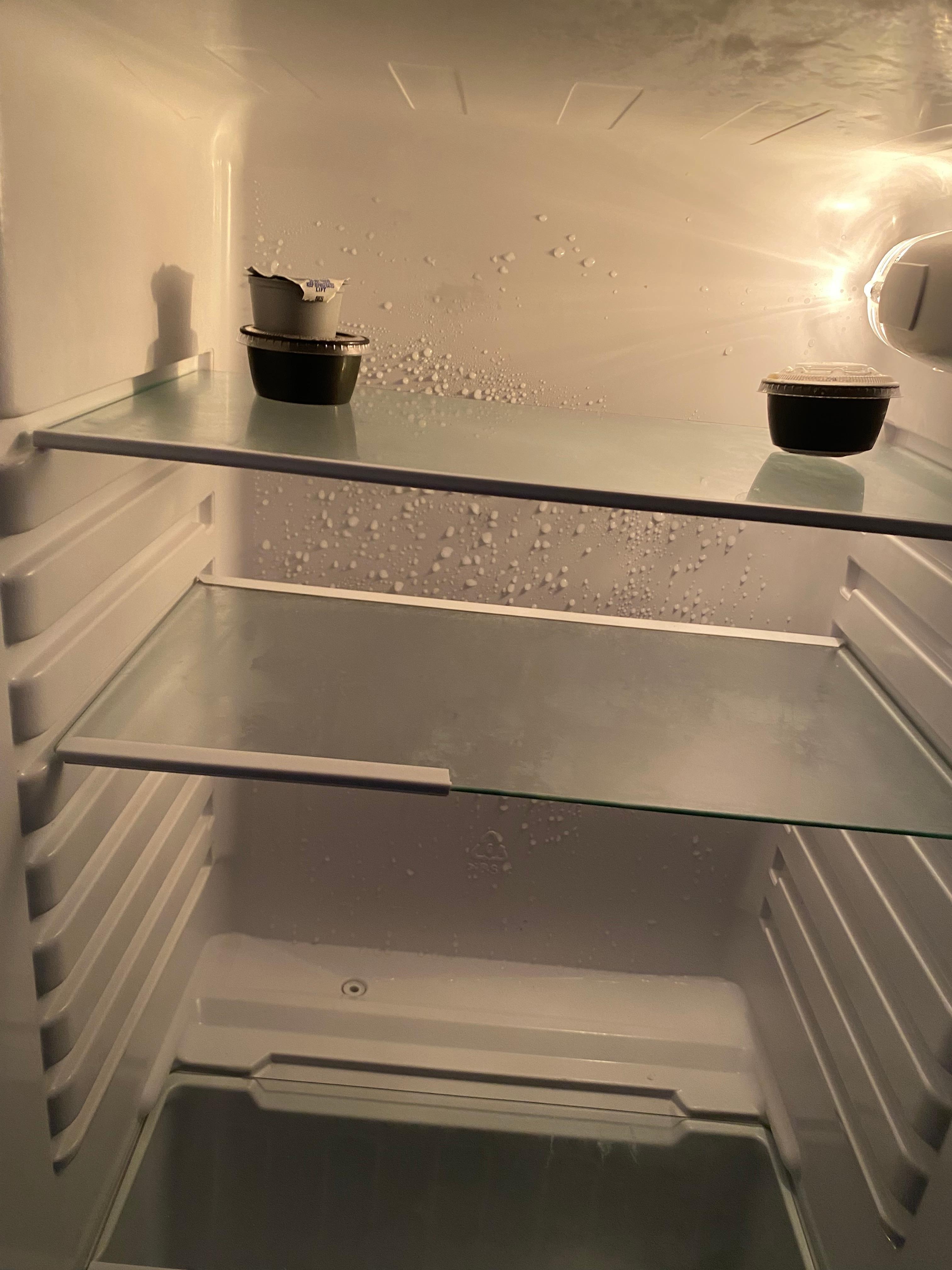 Found items in the fridge when I checked in