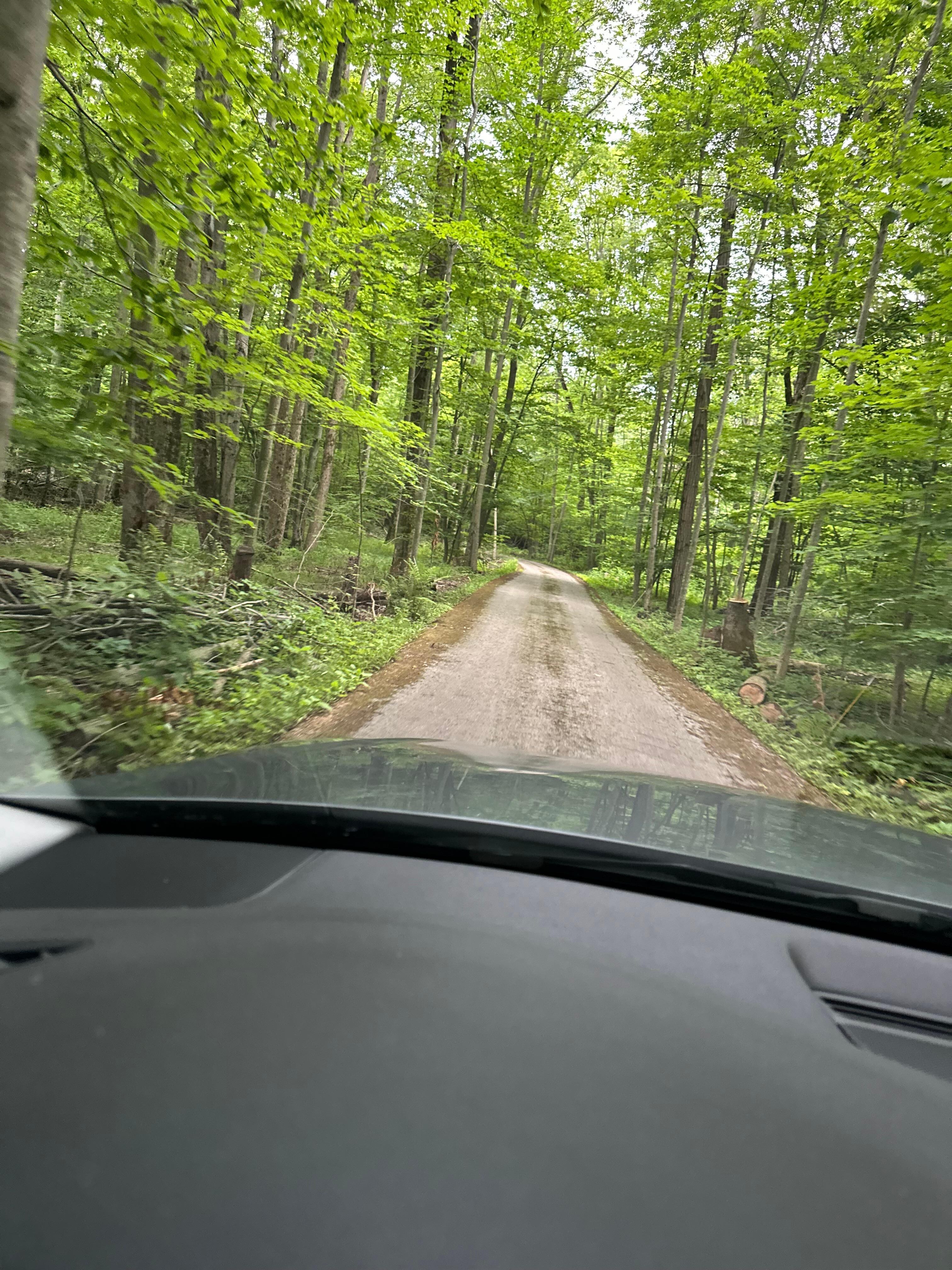 Coming up the driveway 