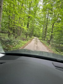 Coming up the driveway