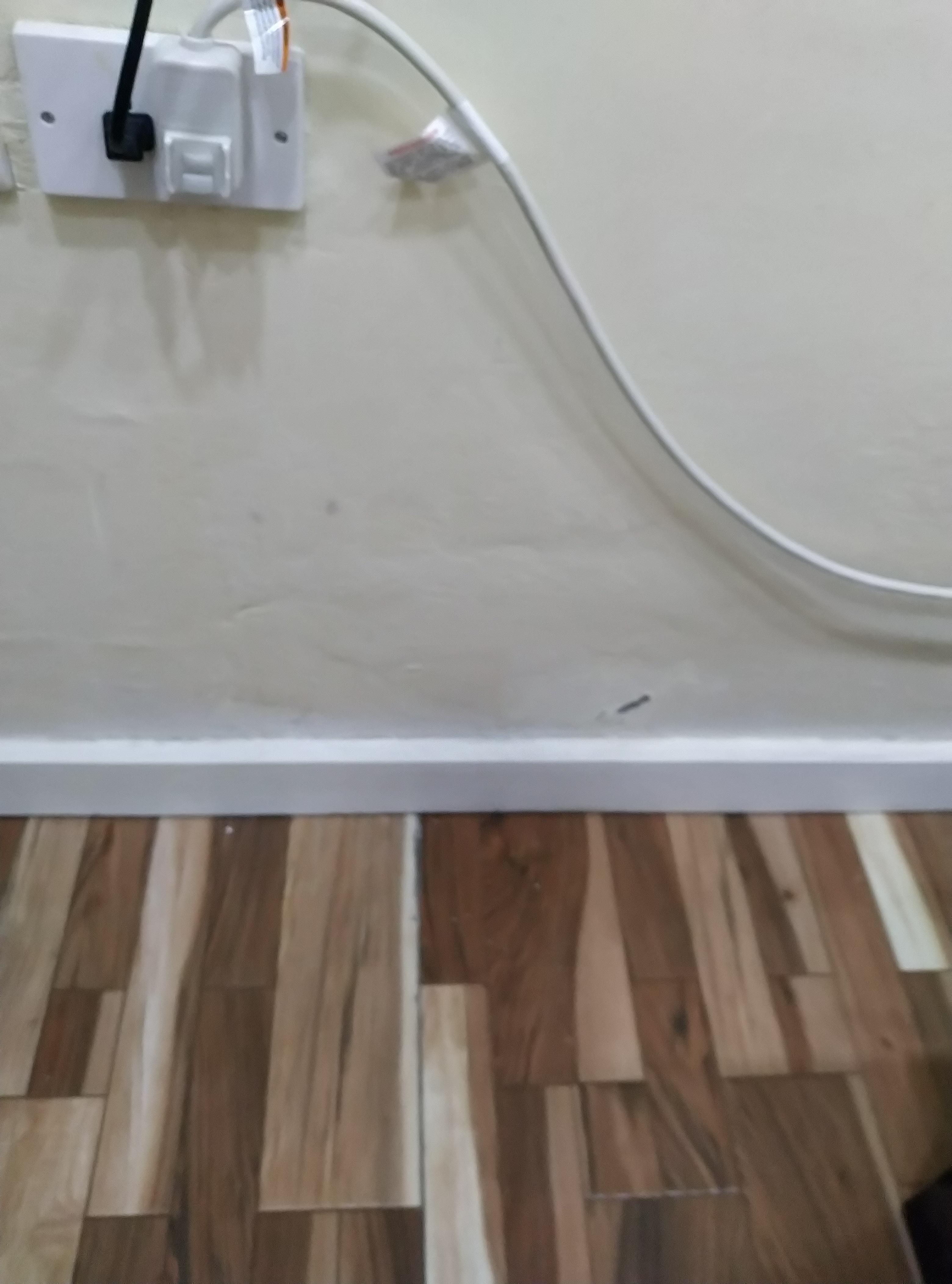 Trying to cover up damp