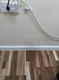 Trying to cover up damp