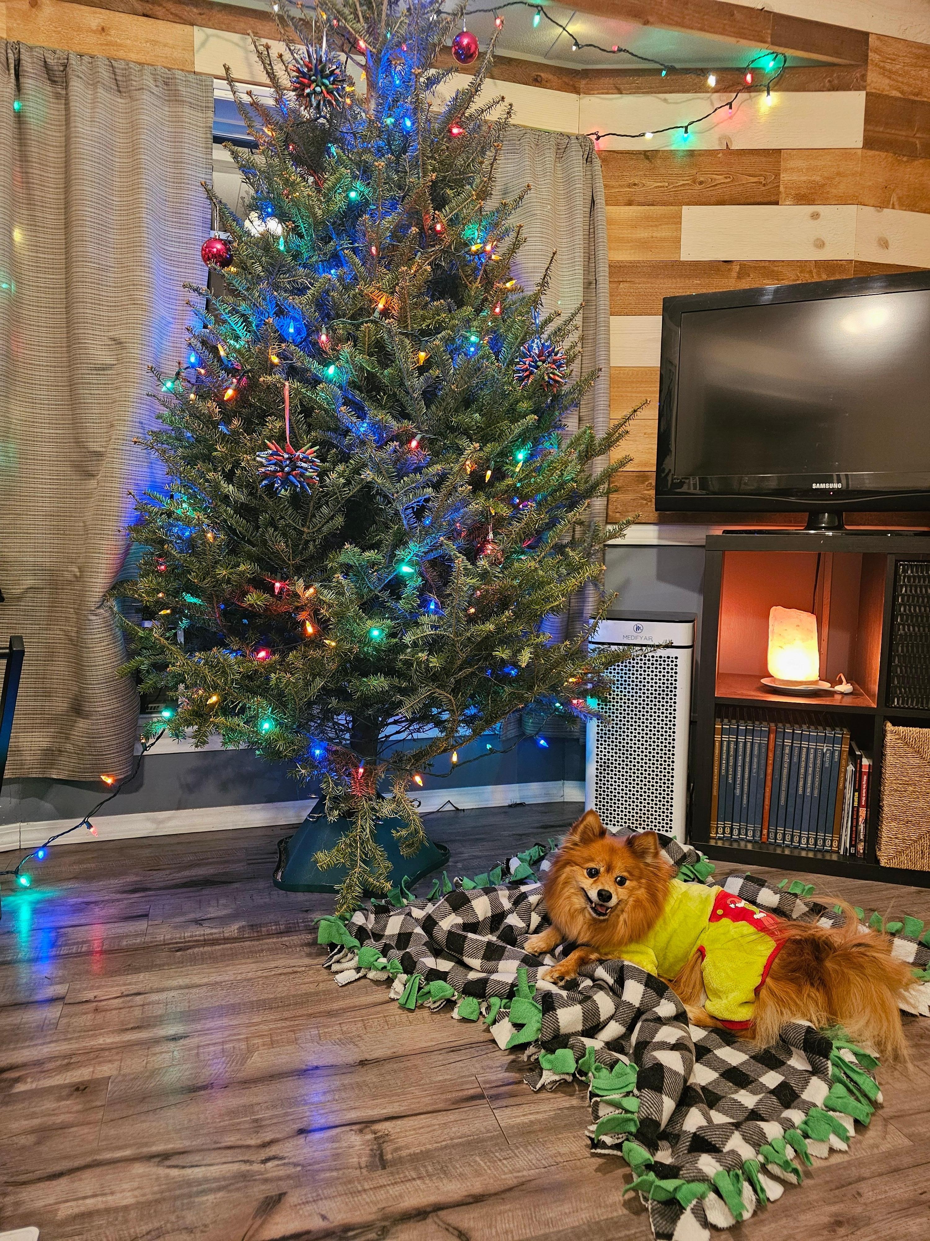 Lexie in her jammies by the tree