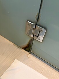 The shower door was disgusting.