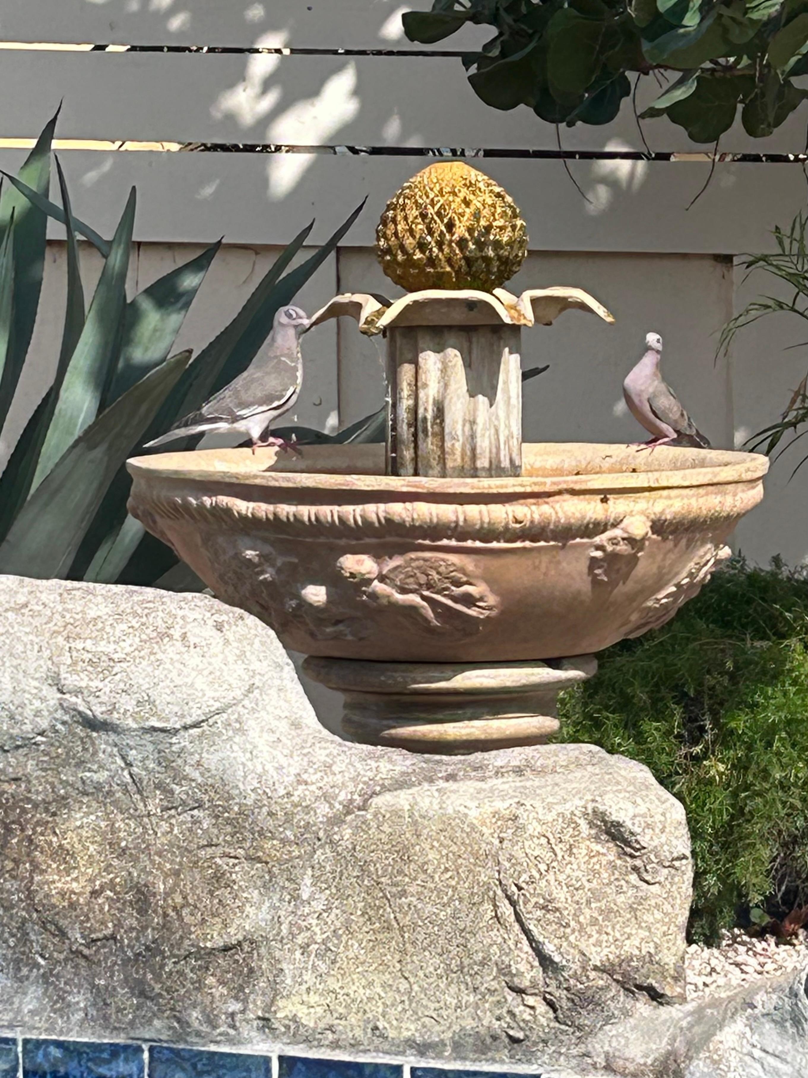 Lots of birds visit the fountain by the pool.