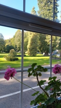 View from bar area