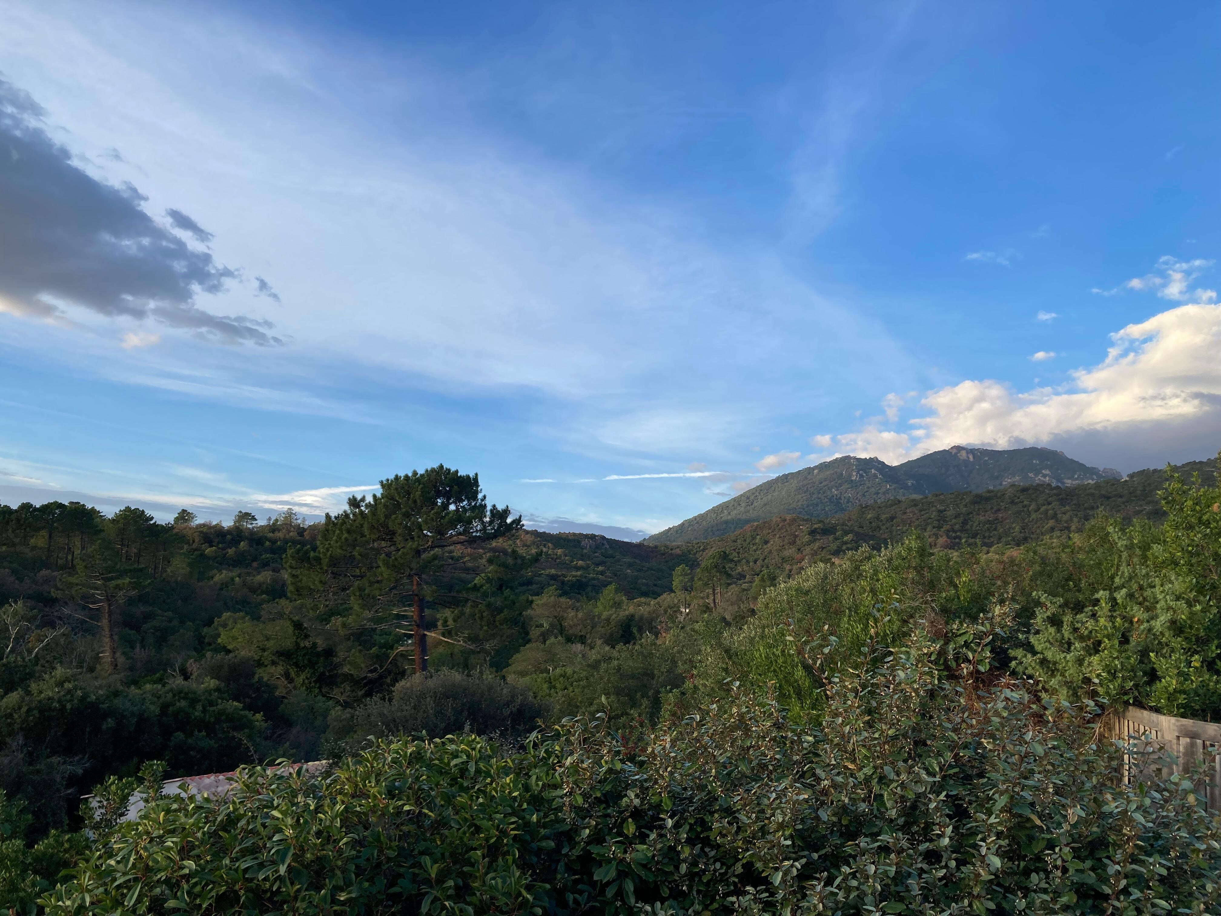 Ausblick von der oberen Terrasse 