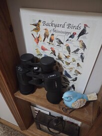 Such cute decorations!