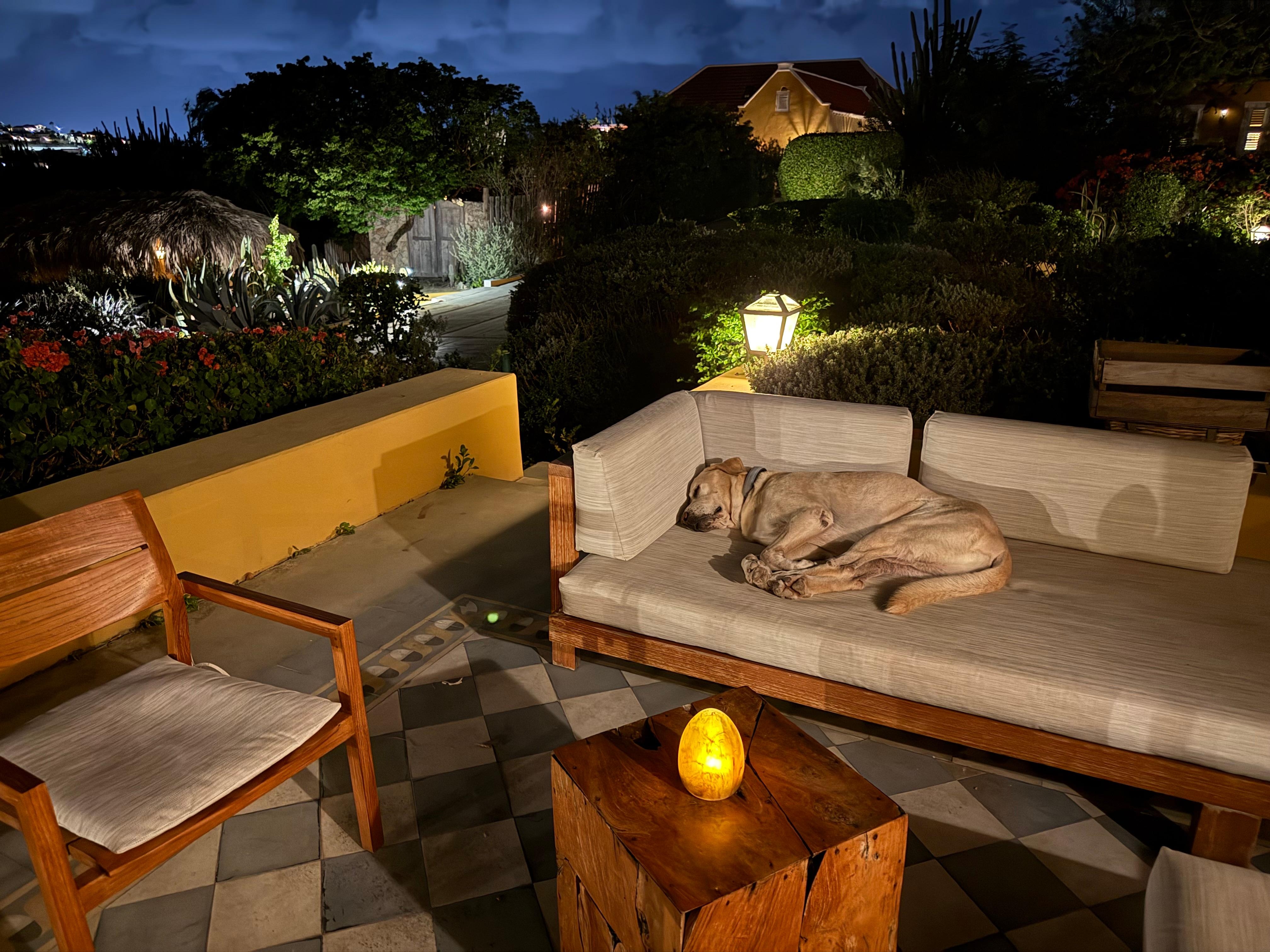 Peaceful views from the patio 