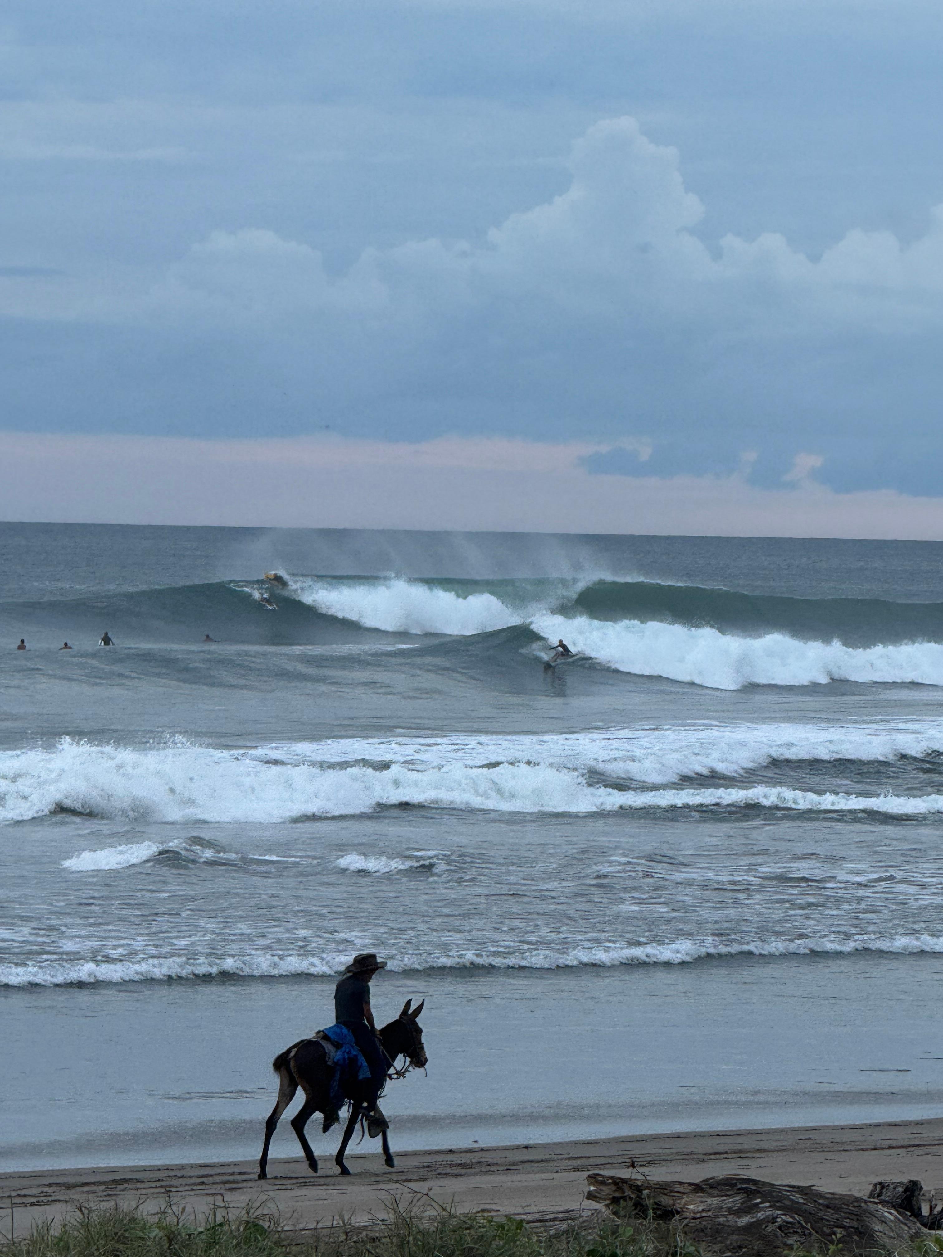 Kids riding horses with panga drops in the background. 