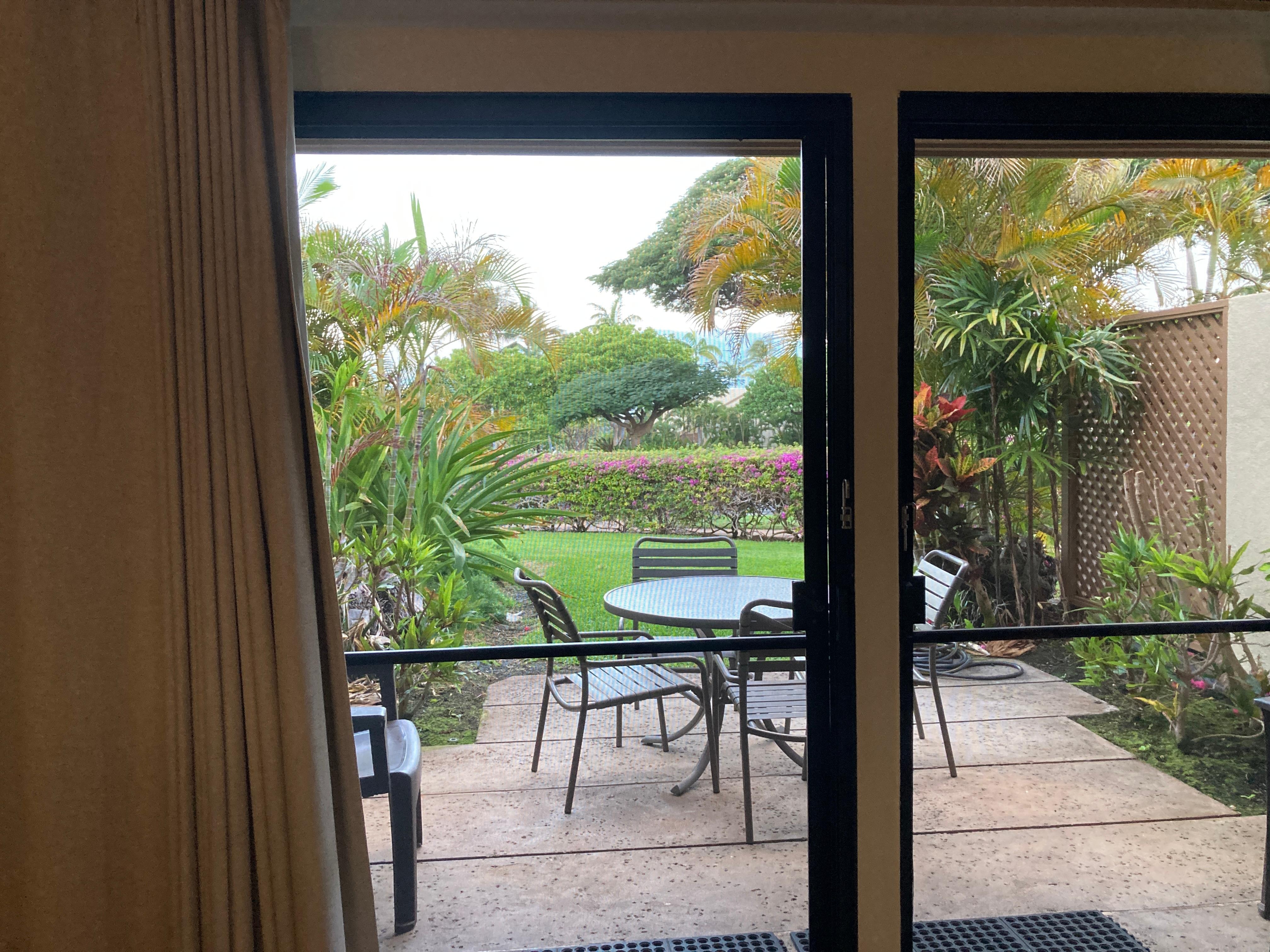 View from the living room.  