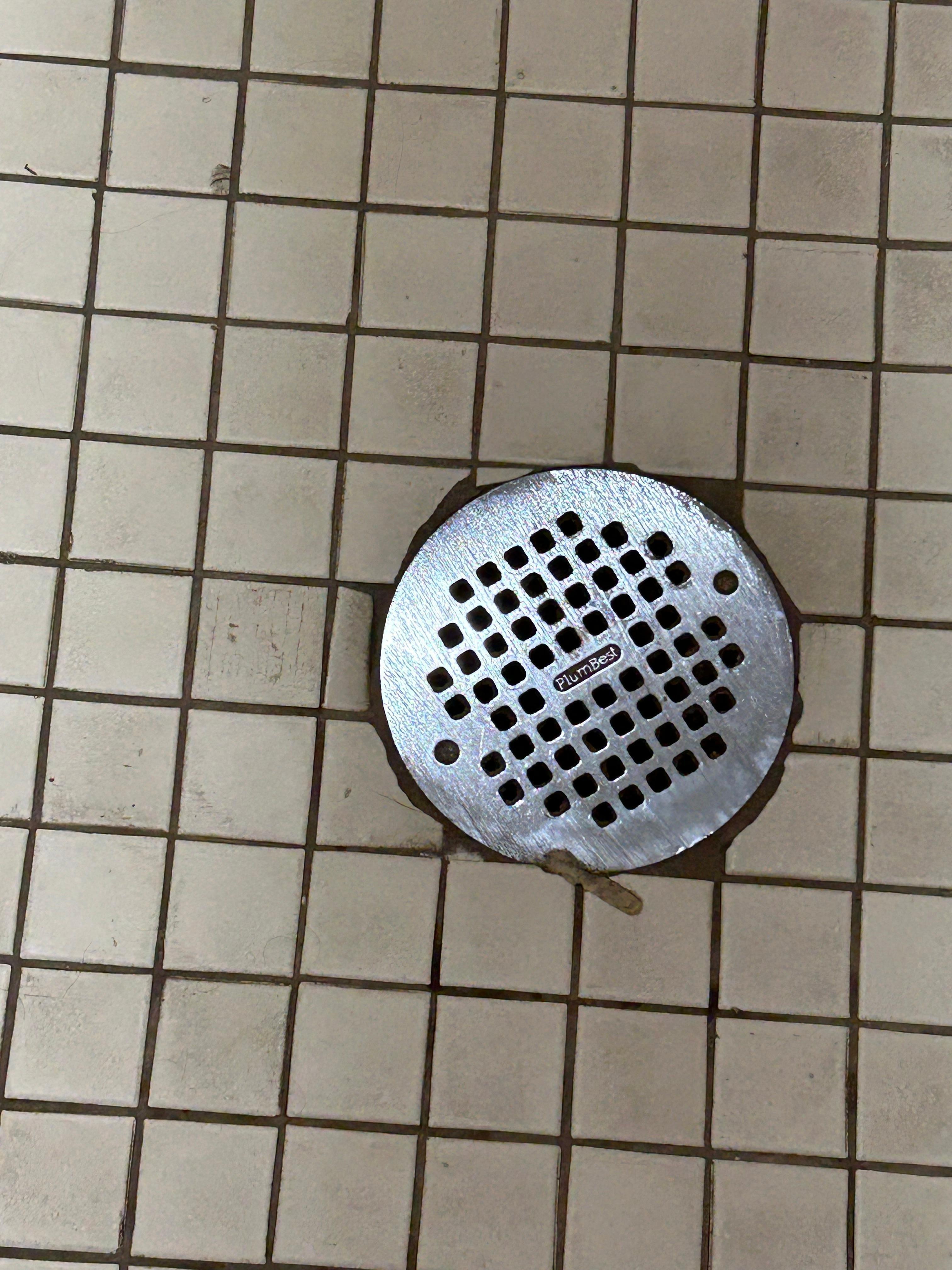 Floor drain and chewing gum? Filthy floor. White tiles needing a scrbubbing