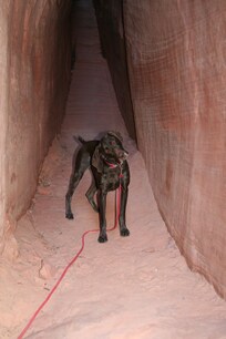 Gilly in slot canyon