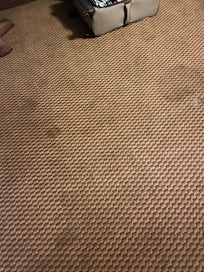 Dirty carpet