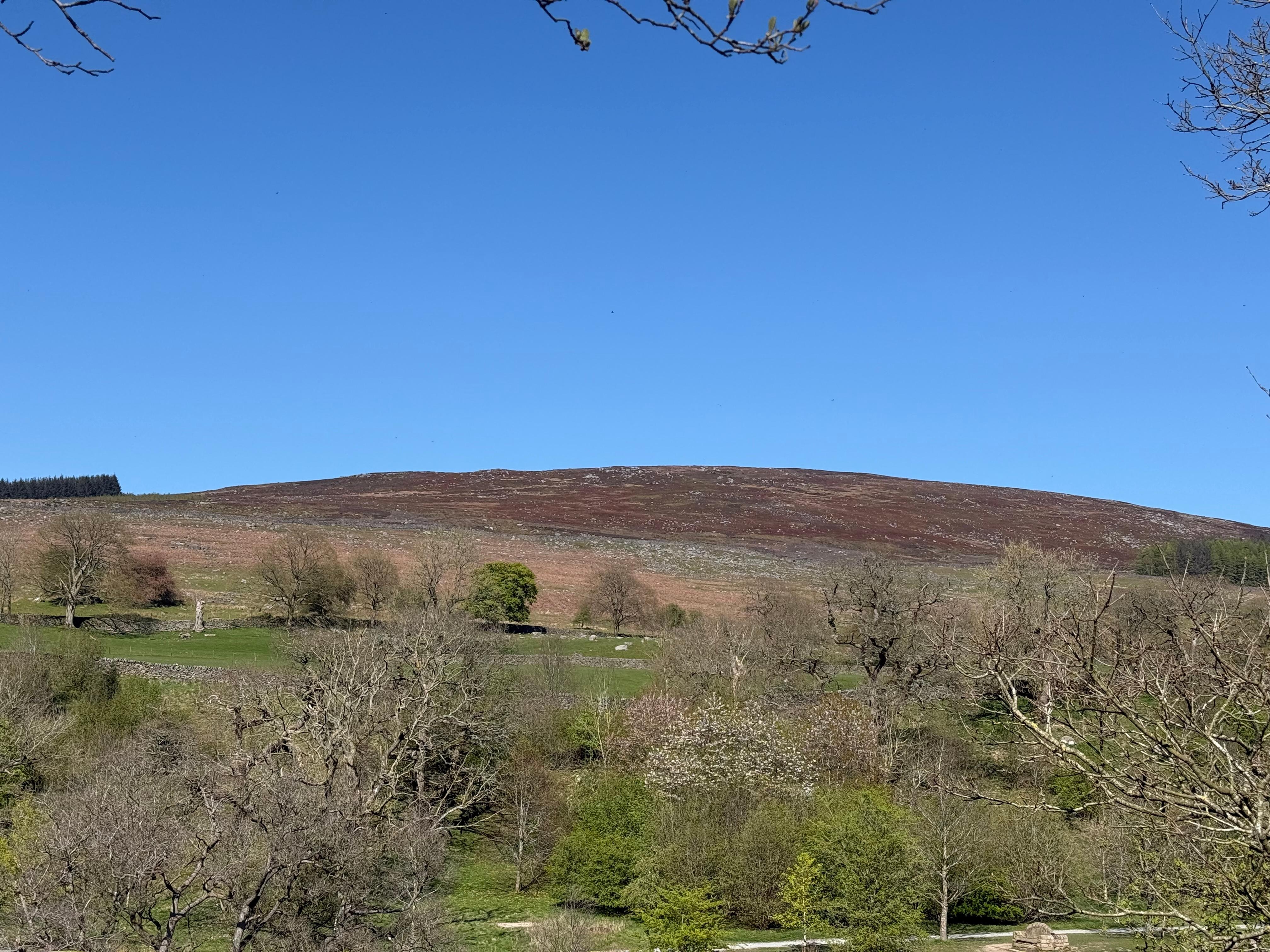 Nearby hills.
