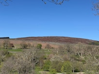 Nearby hills.