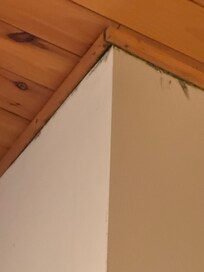 Mold on wall in master