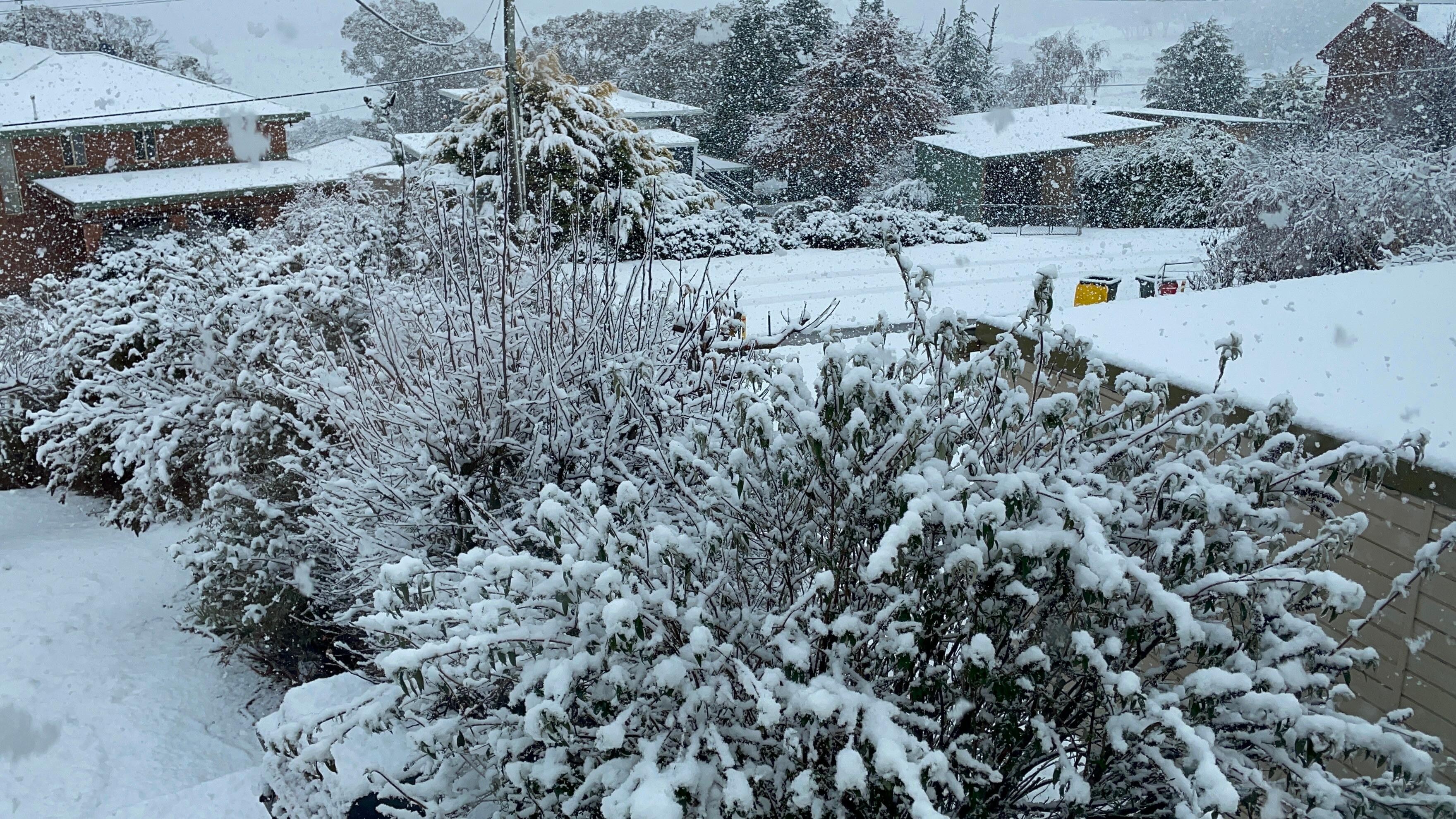 Snow falling during our stay