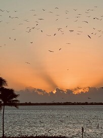 Sunrise from front porch balcony!