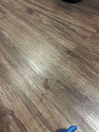 the floor wasn´t moped