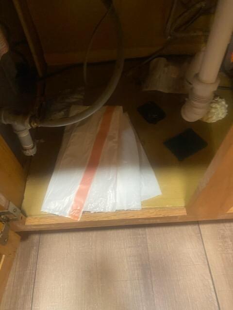 Mouse poop in every cupboard 