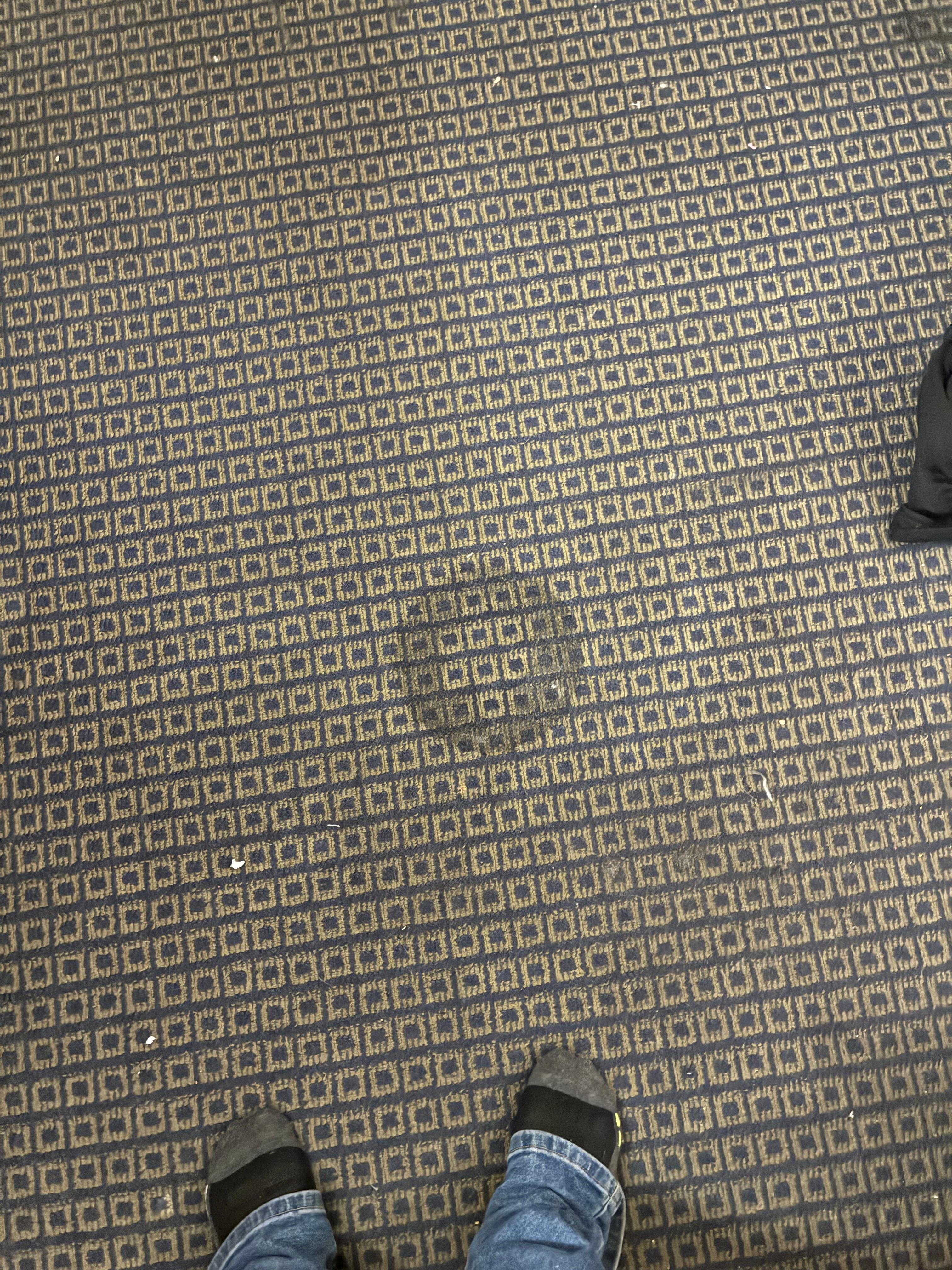 Stain on carpet