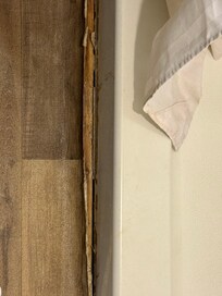Shower floor