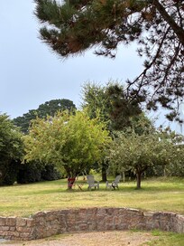 Der Garten hinterm Haus