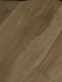 Dead Bug