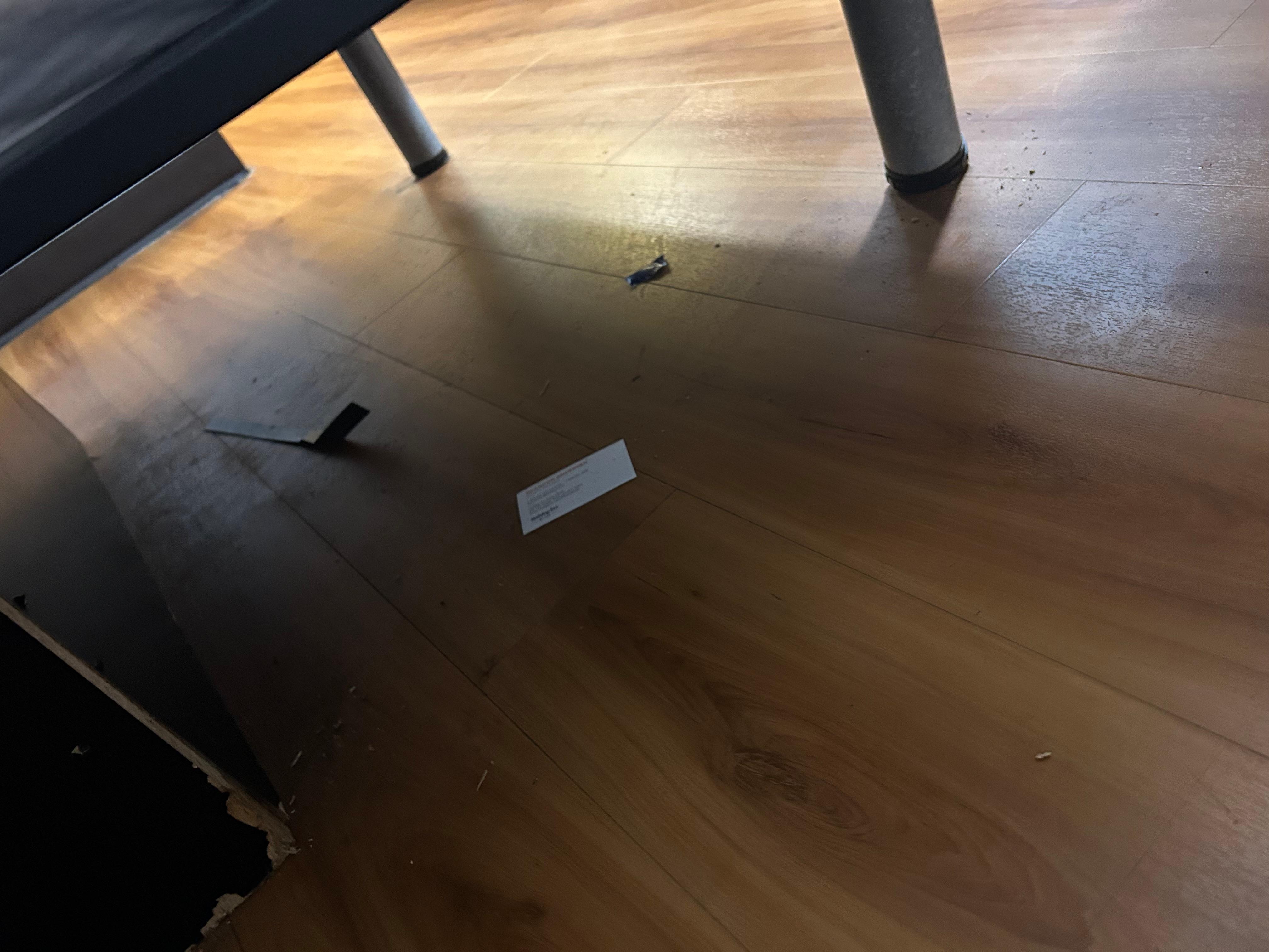 Trash under bed, and bugs