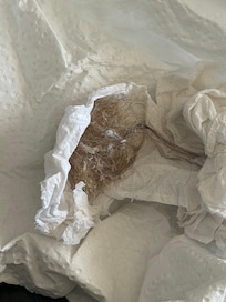 This wasn’t even near half of what my husband removed from the drain.