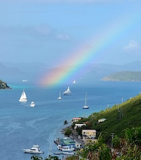 A vibrant rainbow suddenly appeared one morning while we were having coffee!