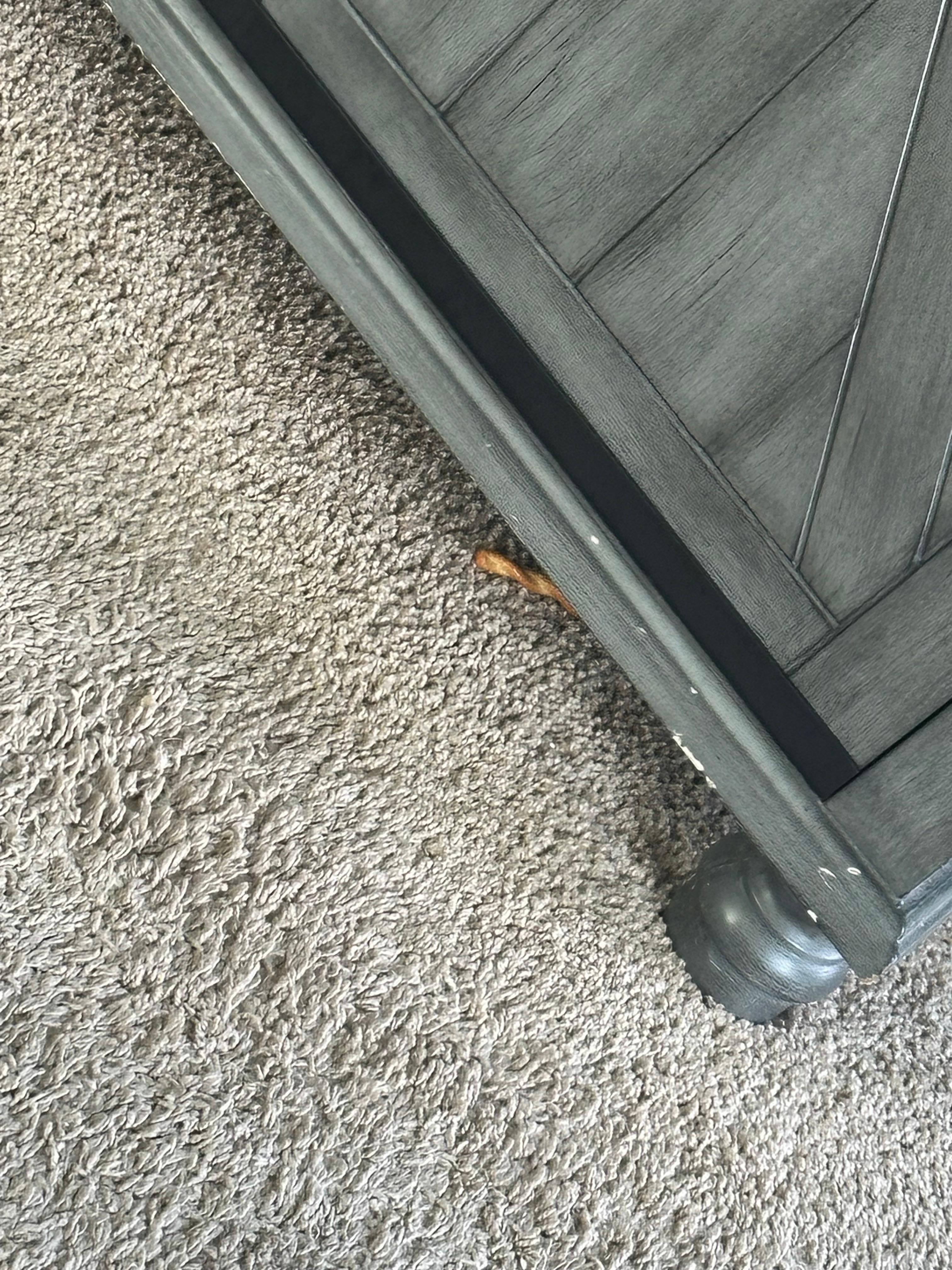 Food found on the floor
