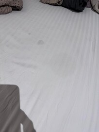 Bed had white, oil stains. It was stinky