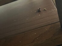 Room wasn’t properly cleaned