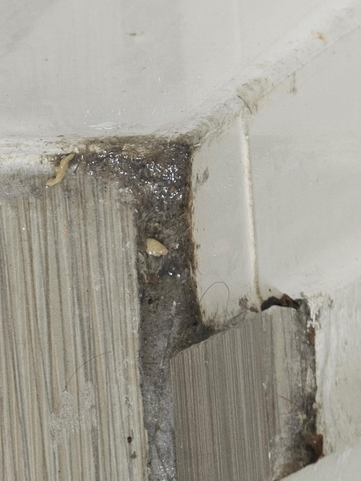 Sitting on toilet this is corner of wall behind door 