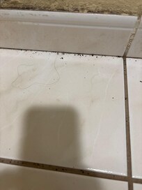 Dirt on bathroom floor