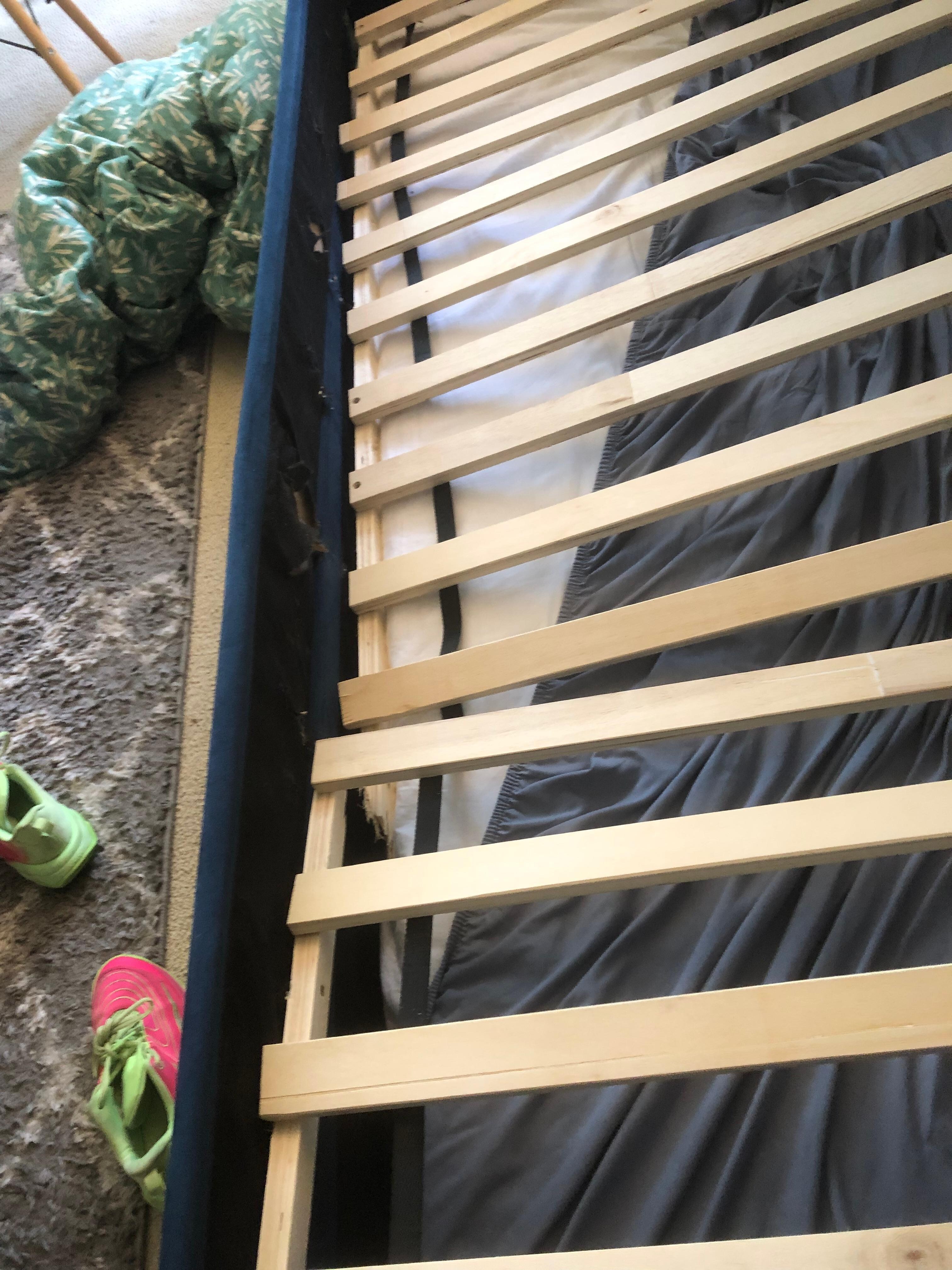 broken bed, musty mattress smell