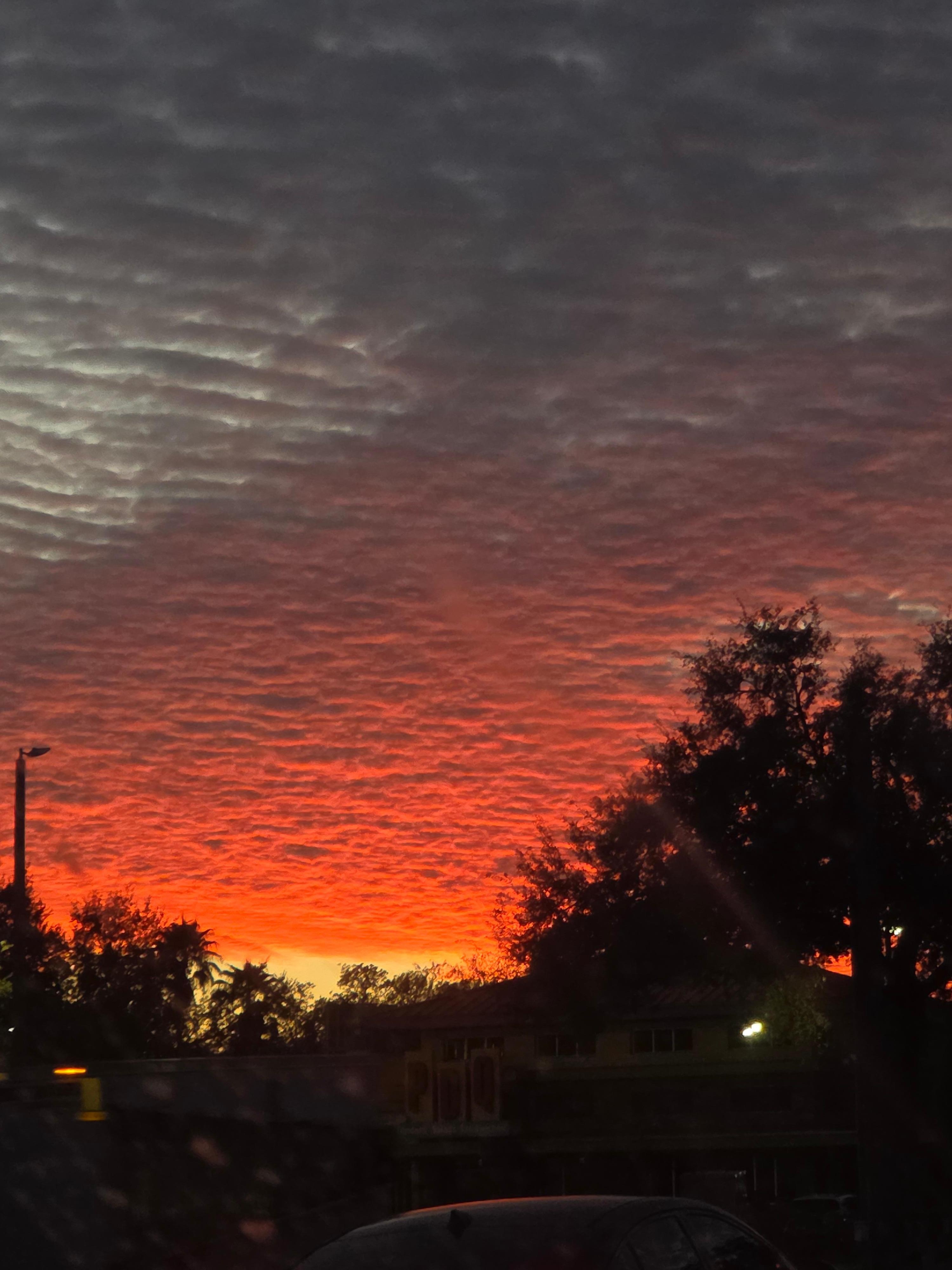 A beautiful sunset in St. Petersburg!