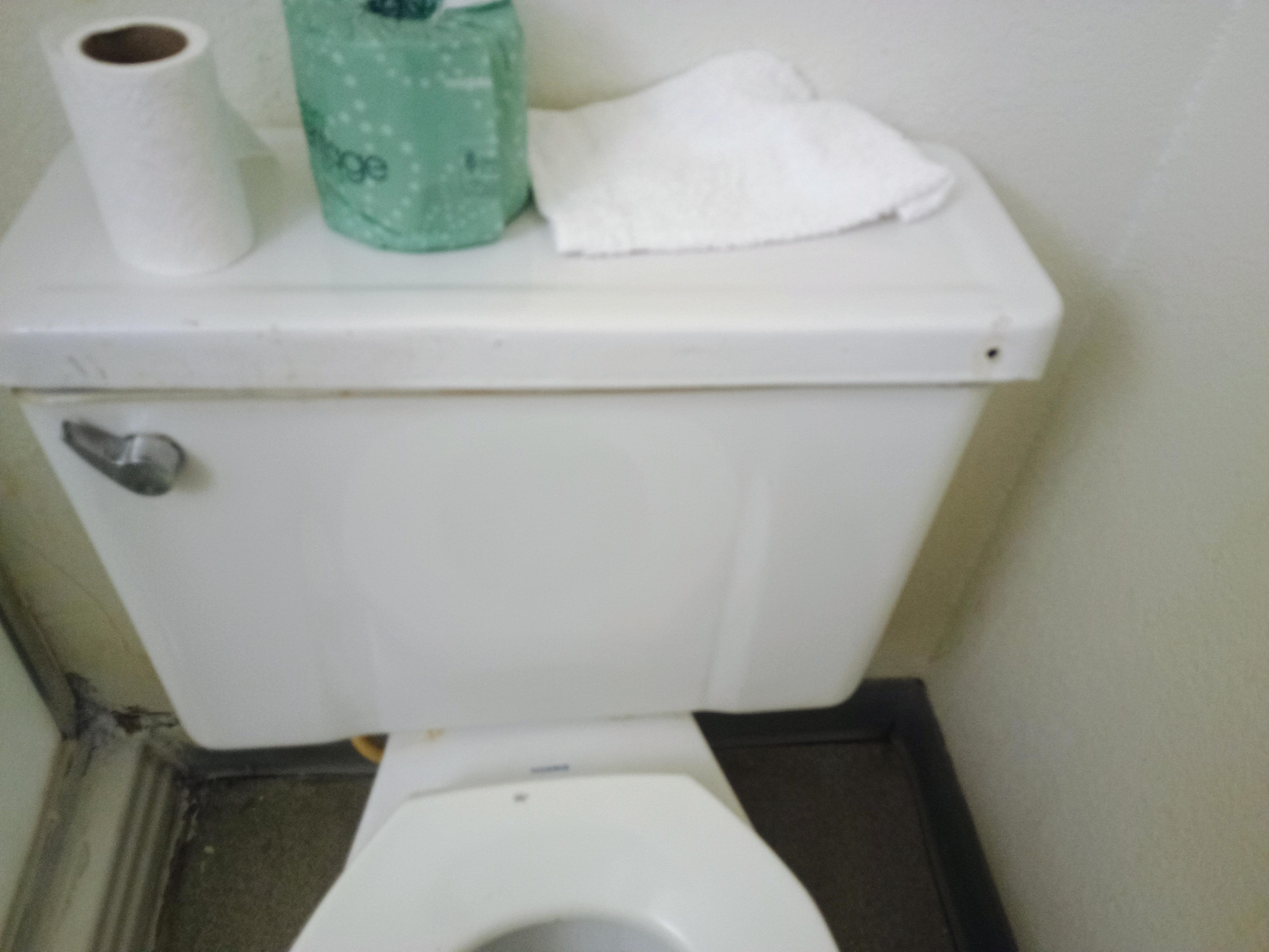 Toilet didn't flush without taking lid off and priming the pump 