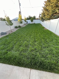 Beautiful grass of home in a quiet neighborhood