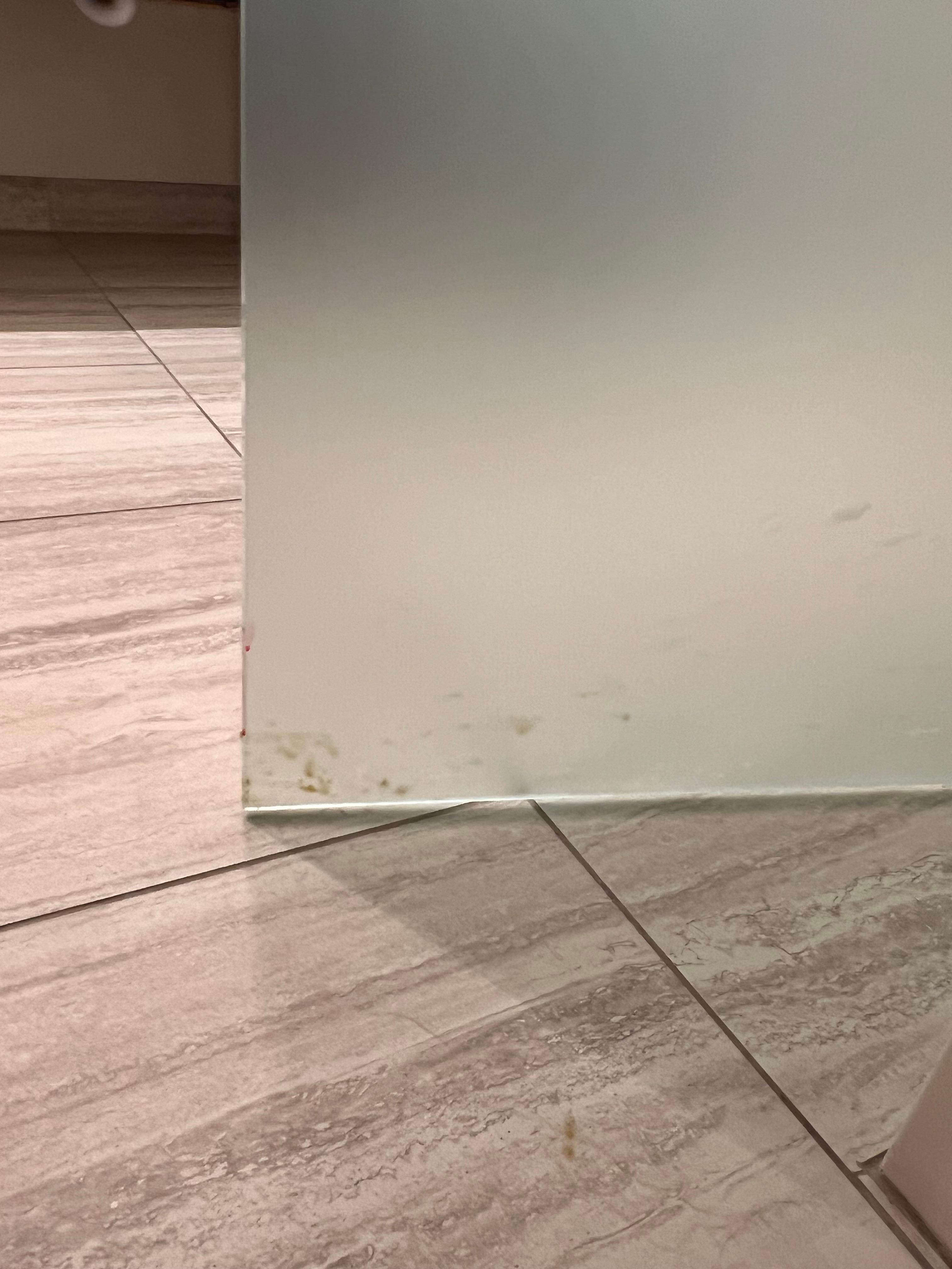 Vomit on the bathroom door and the floor 