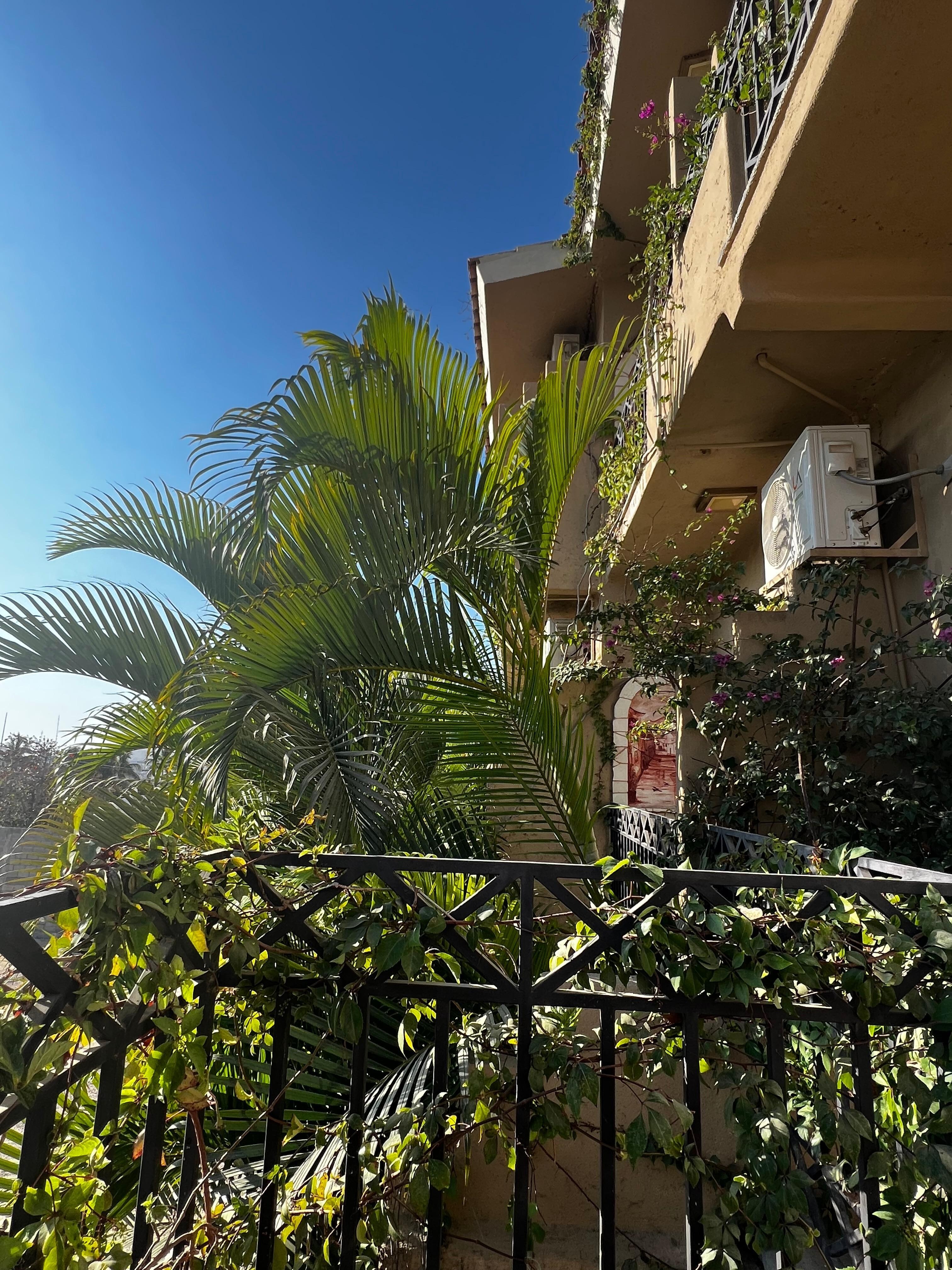outside the balcony 