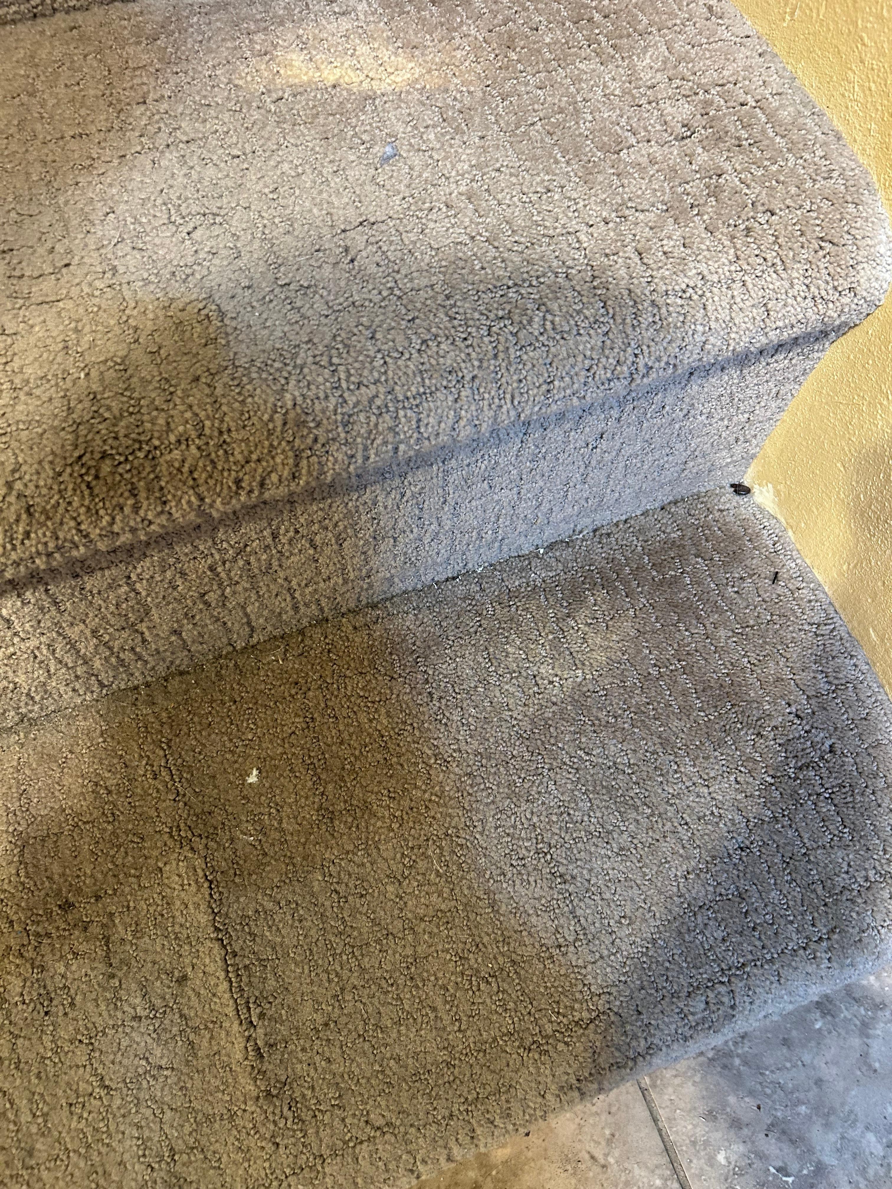 Carpeted stairs not vacuumed 