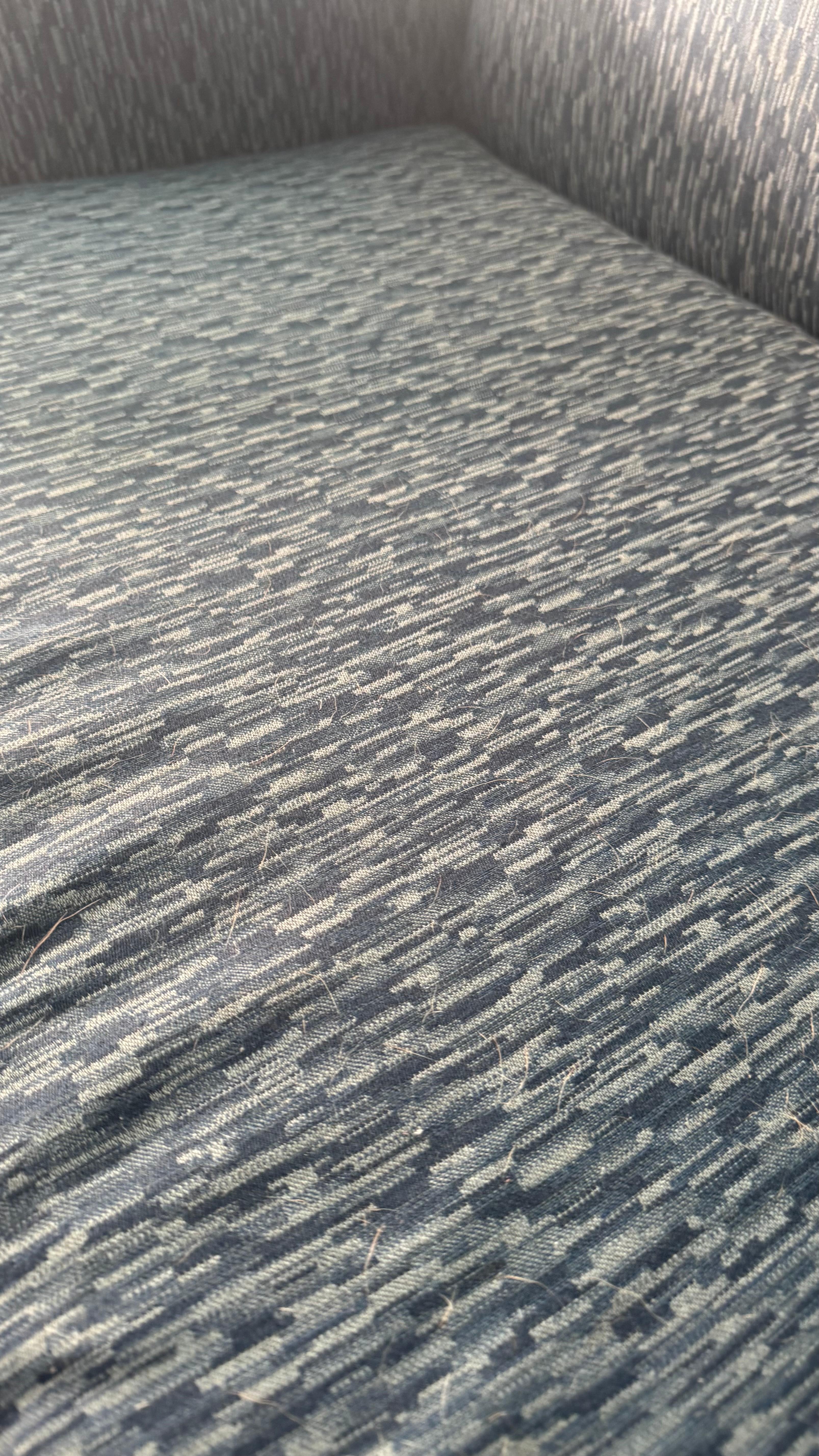 There was dog hair everywhere!