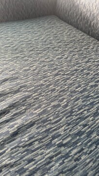 There was dog hair everywhere!