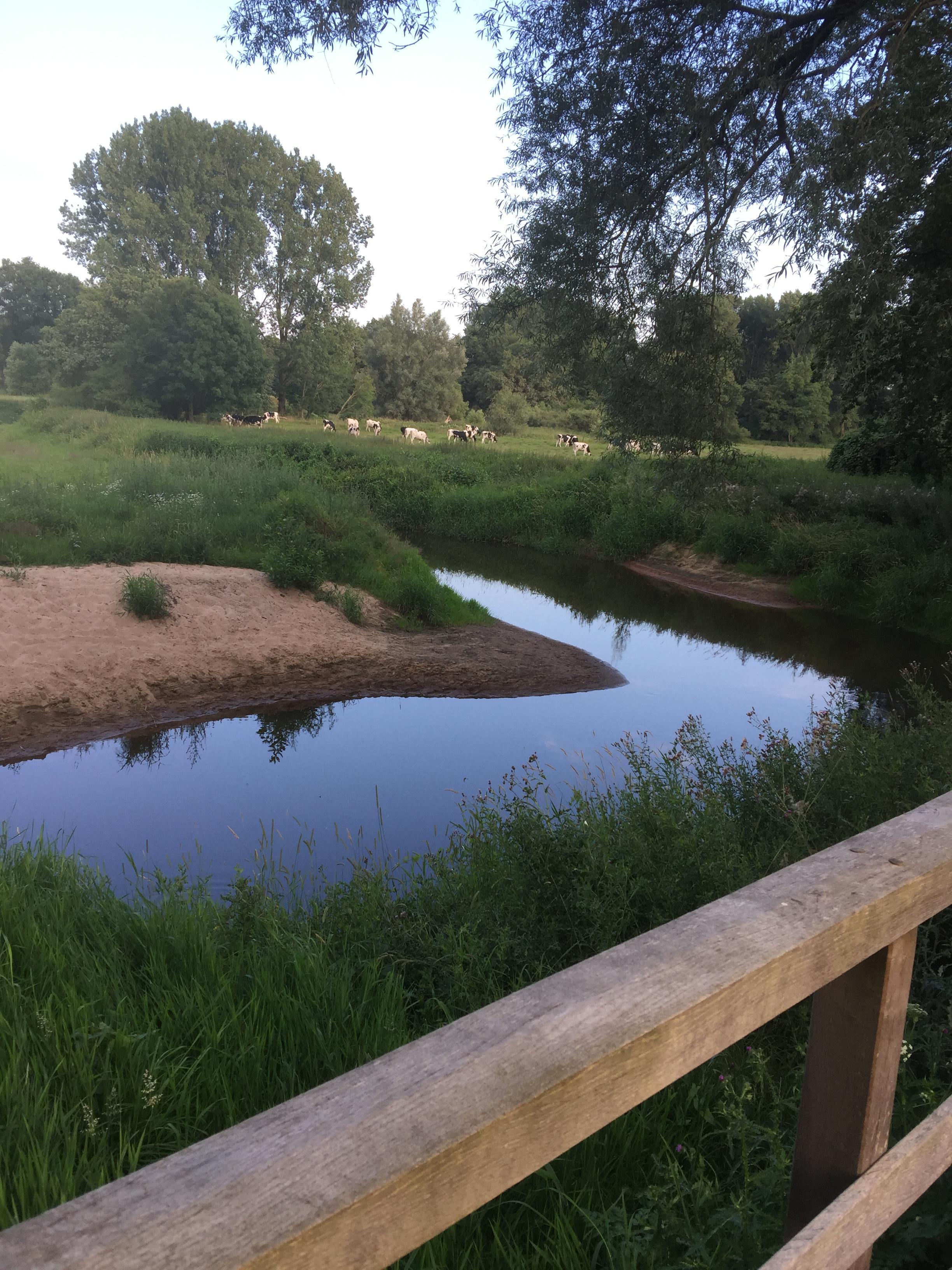 Fietspad over de Dinkel