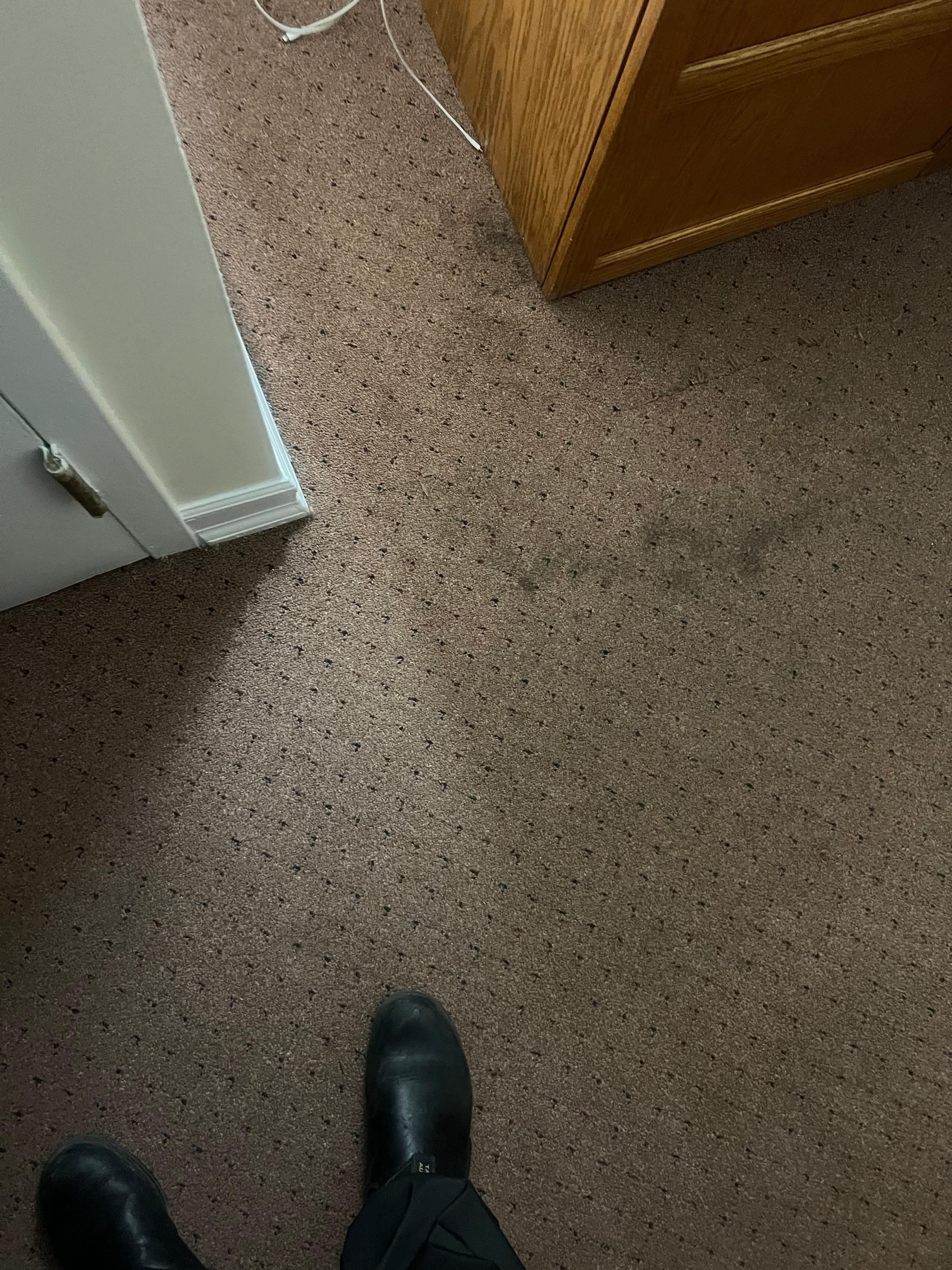 Stained carpet