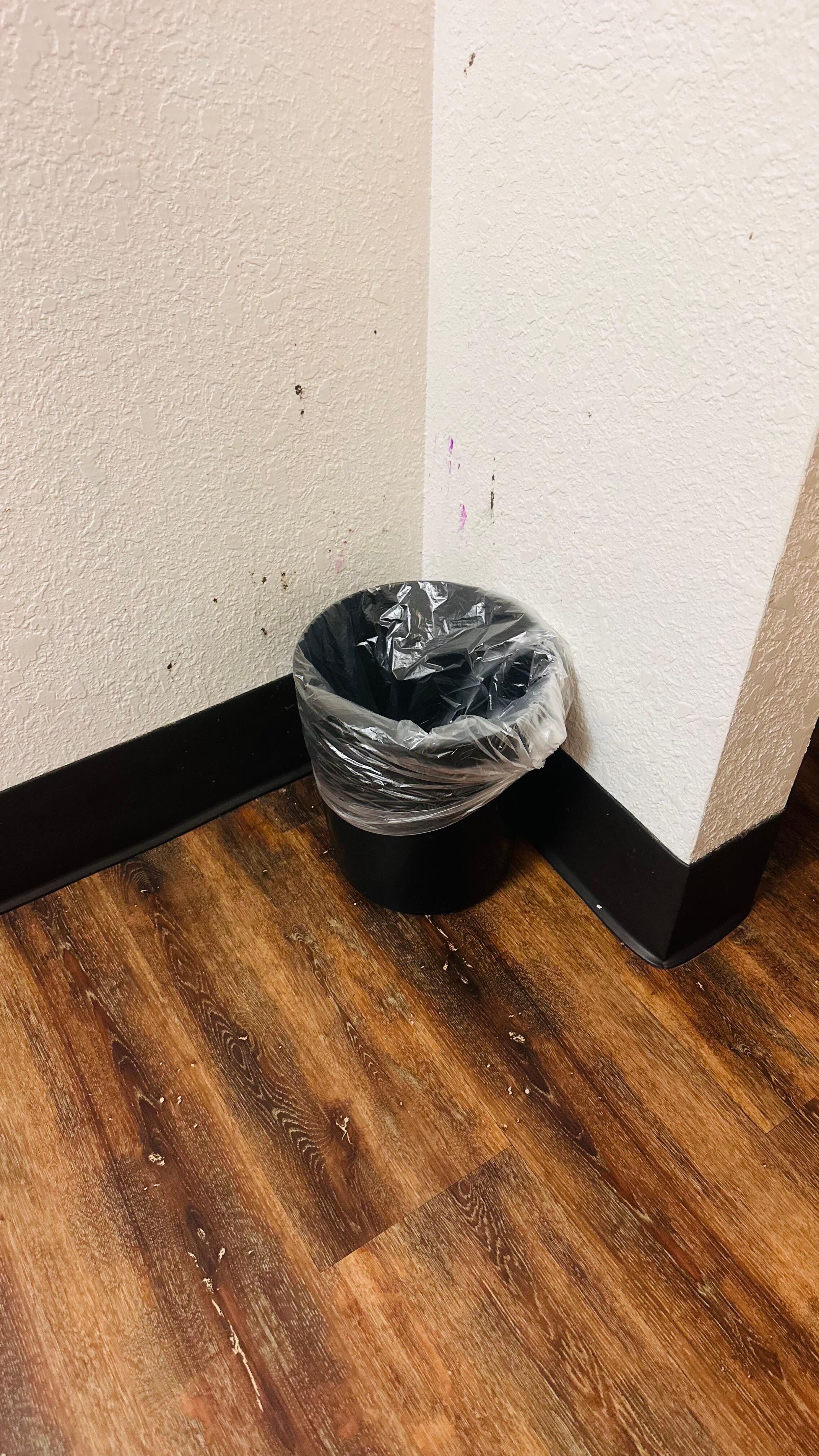 The room was in poor shape — the floors were scratched, the walls had stains, and the corners looked as though they hadn’t been cleaned in months.